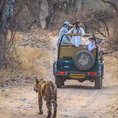 Golden Triangle Tour with Ranthambore